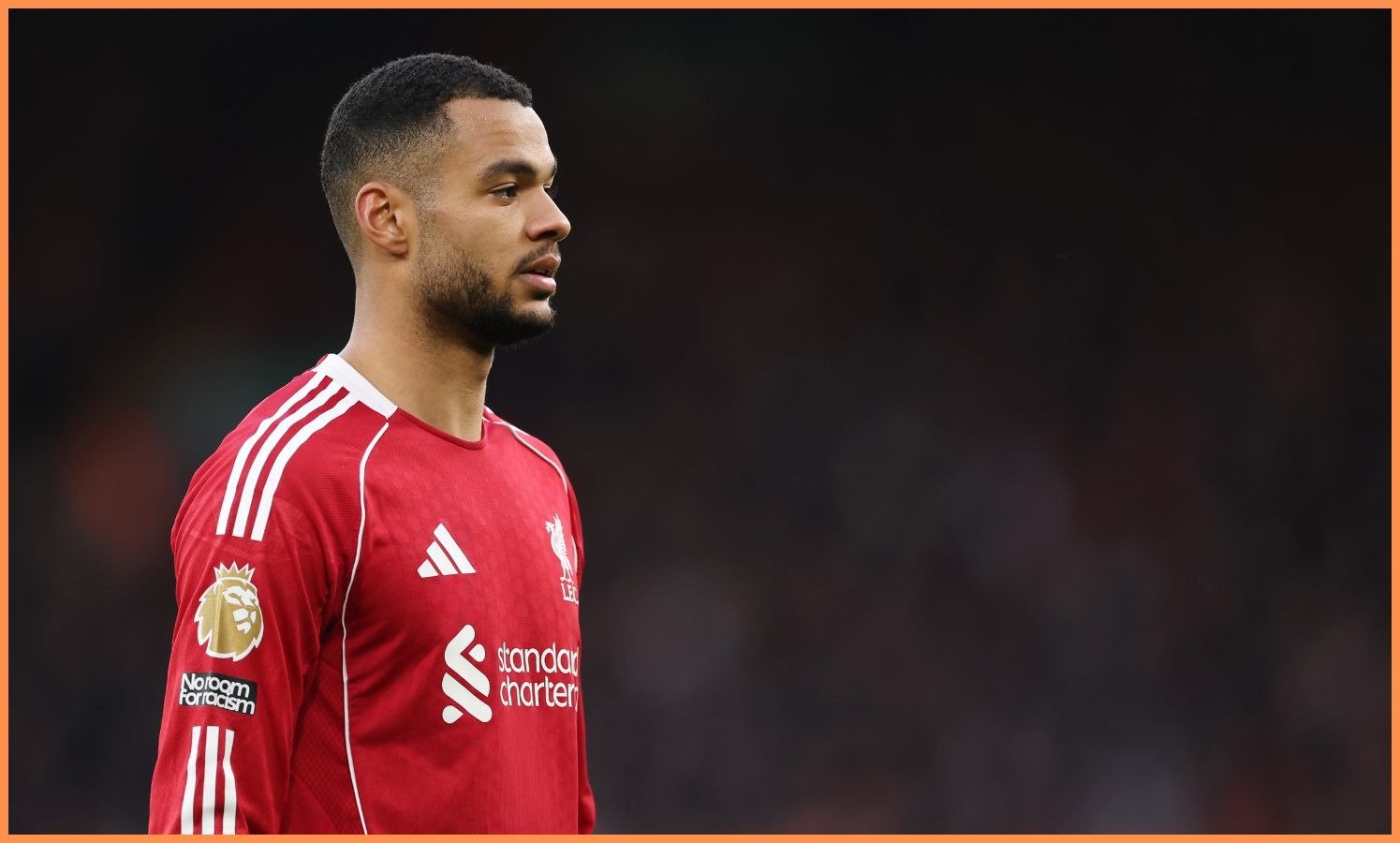 Cody Gakpo transfer: Tottenham bid put on hold by Liverpool 1 Cody Gakpo transfer