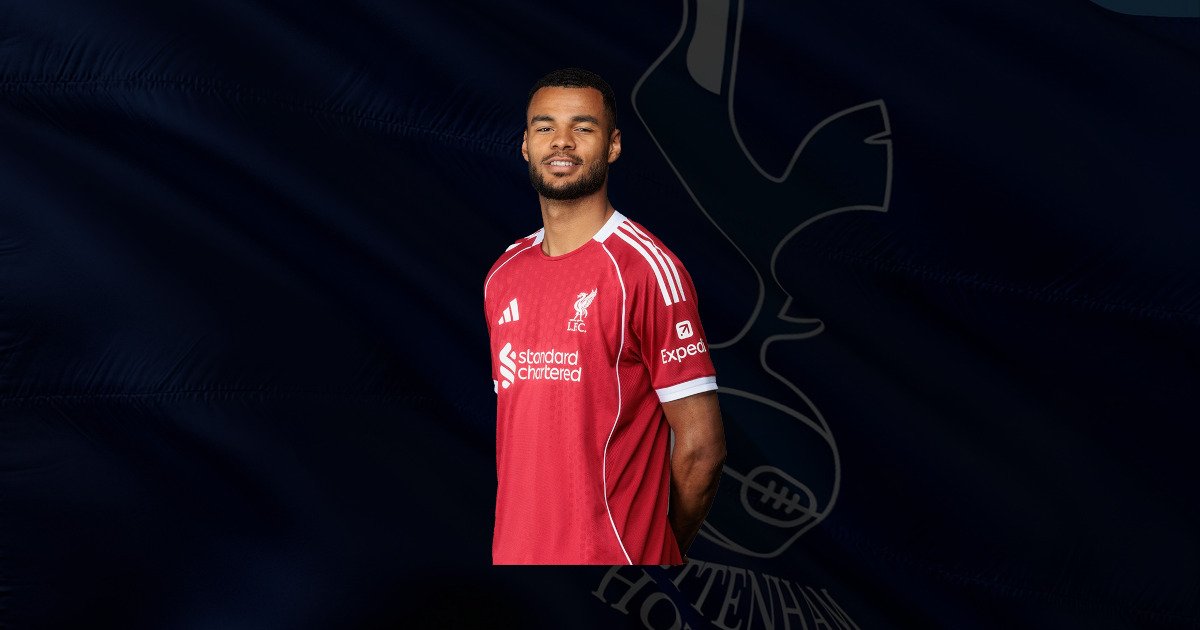 Cody Gakpo £70m Transfer to Tottenham 1 Cody Gakpo