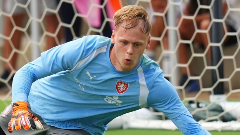 Lukas Hornicek Newcastle